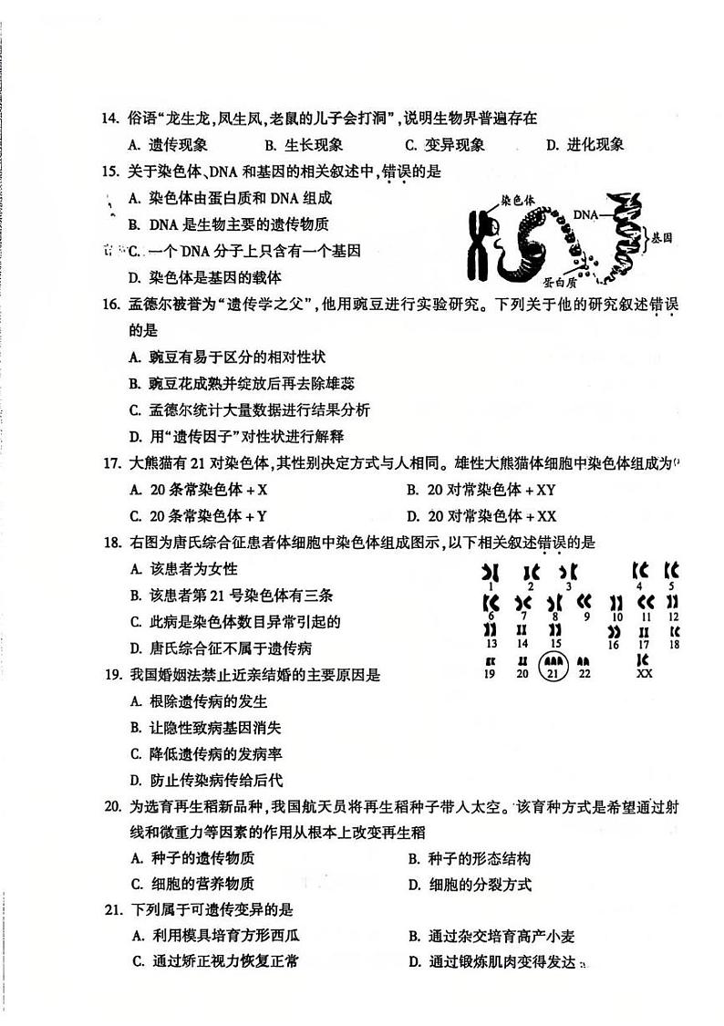 北京市朝阳区2024--2025学年八年级上学期期末生物试题第3页