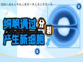 初中  生物  人教版（2024）  七年级上册（2024） 第一节 细胞通过分裂产生新细胞 课件