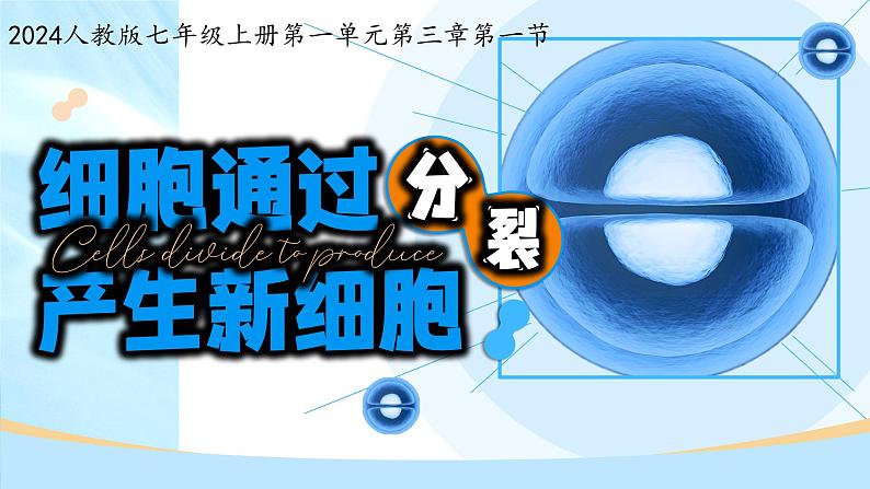 初中  生物  人教版（2024）  七年级上册（2024） 第一节 细胞通过分裂产生新细胞 课件第2页