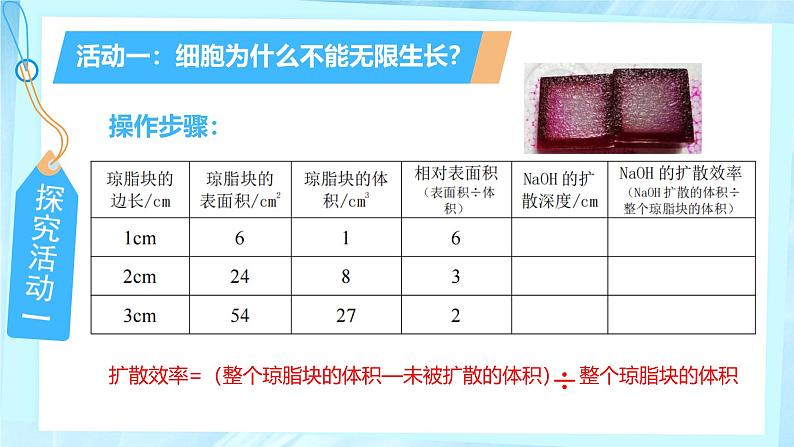 初中  生物  人教版（2024）  七年级上册（2024） 第一节 细胞通过分裂产生新细胞 课件第6页