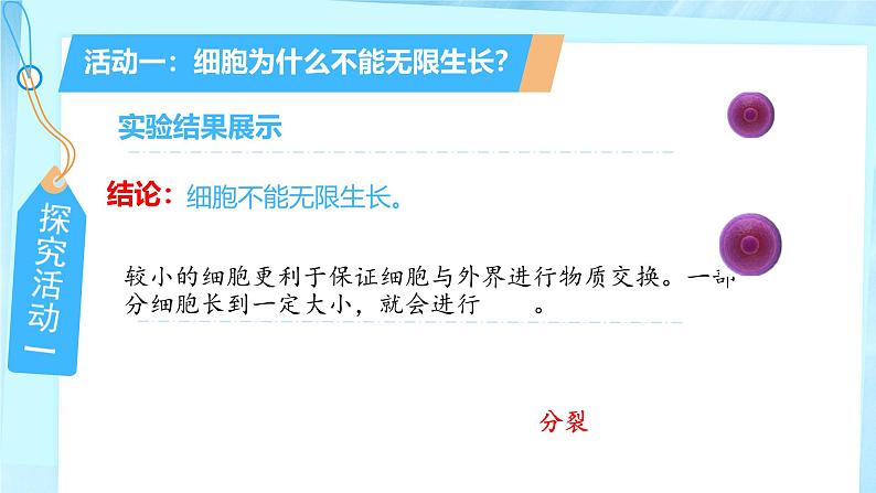 初中  生物  人教版（2024）  七年级上册（2024） 第一节 细胞通过分裂产生新细胞 课件第7页