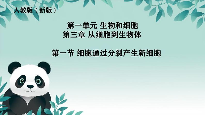 初中  生物  人教版（2024）  七年级上册（2024） 第一节 细胞通过分裂产生新细胞 课件第3页