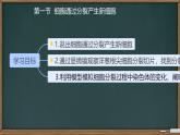 初中  生物  人教版（2024）  七年级上册（2024） 第一节 细胞通过分裂产生新细胞 课件