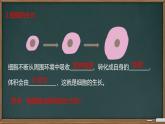 初中  生物  人教版（2024）  七年级上册（2024） 第一节 细胞通过分裂产生新细胞 课件