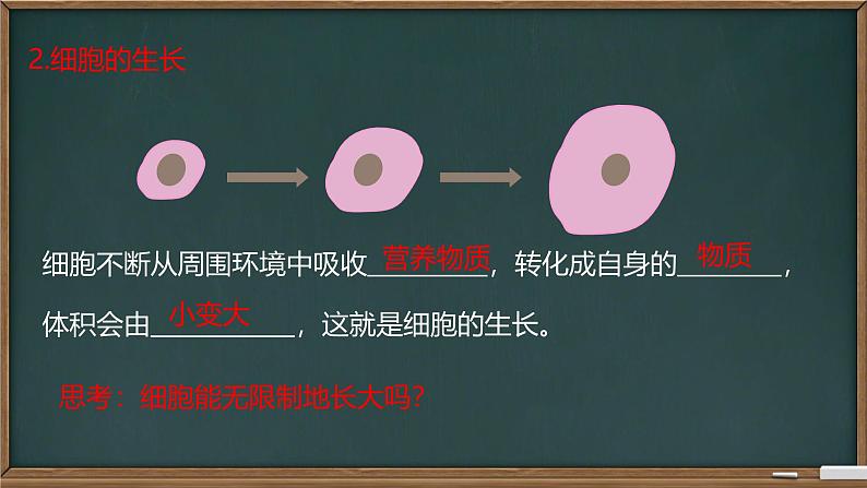 初中  生物  人教版（2024）  七年级上册（2024） 第一节 细胞通过分裂产生新细胞 课件第5页