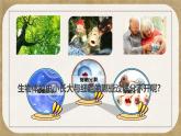初中  生物  人教版（2024）  七年级上册（2024） 第一节 细胞通过分裂产生新细胞 课件