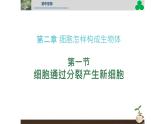 初中  生物  人教版（2024）  七年级上册（2024） 第一节 细胞通过分裂产生新细胞 课件