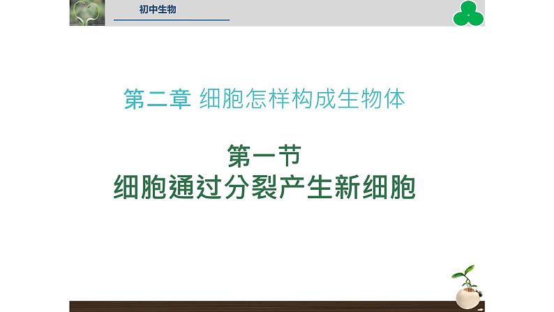 初中  生物  人教版（2024）  七年级上册（2024） 第一节 细胞通过分裂产生新细胞 课件第4页