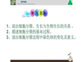 初中  生物  人教版（2024）  七年级上册（2024） 第一节 细胞通过分裂产生新细胞 课件