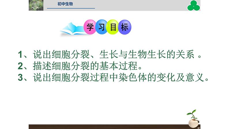 初中  生物  人教版（2024）  七年级上册（2024） 第一节 细胞通过分裂产生新细胞 课件第5页