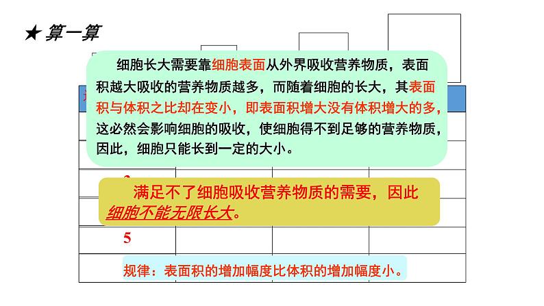 初中  生物  人教版（2024）  七年级上册（2024） 第一节 细胞通过分裂产生新细胞 课件第8页