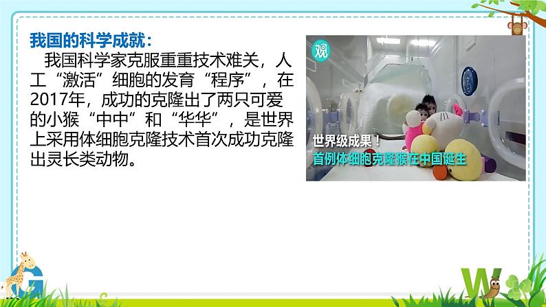 初中  生物  人教版（2024）  七年级上册（2024） 第一节 细胞通过分裂产生新细胞 课件第2页