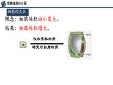初中  生物  人教版（2024）  七年级上册（2024） 第一节 细胞通过分裂产生新细胞 课件