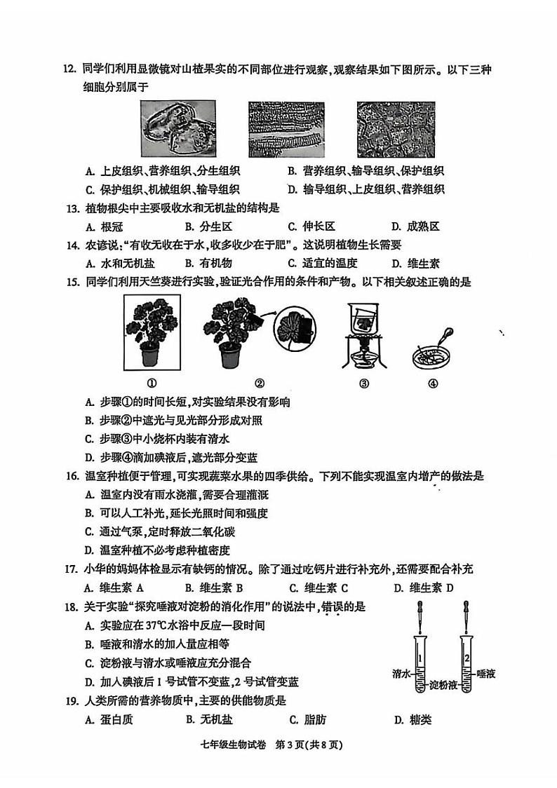 2025北京朝阳初一（上）期末真题生物试卷第3页