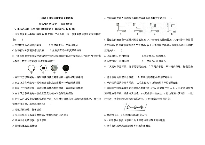 内蒙古赤峰2024-2025学年七年级上学期七年生物期末模拟测试卷及答案第1页