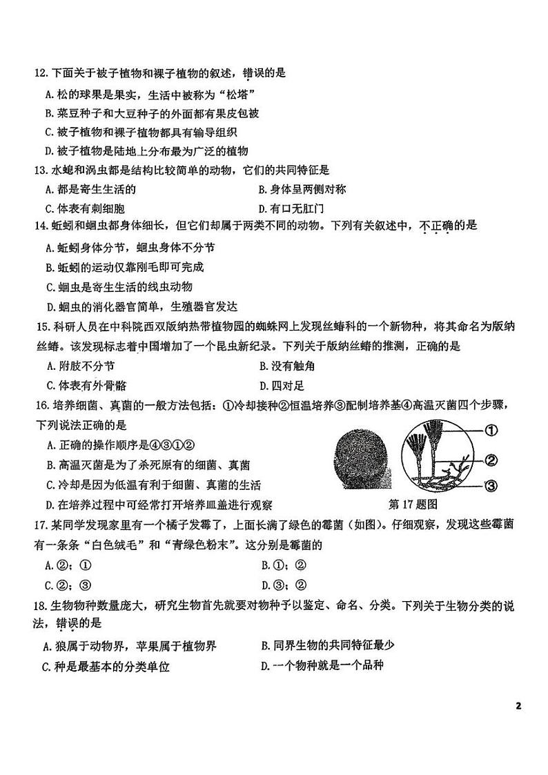 吉林省长春市东北师范大学附属中学2024-2025学年七年级上学期期末考试生物试题第3页