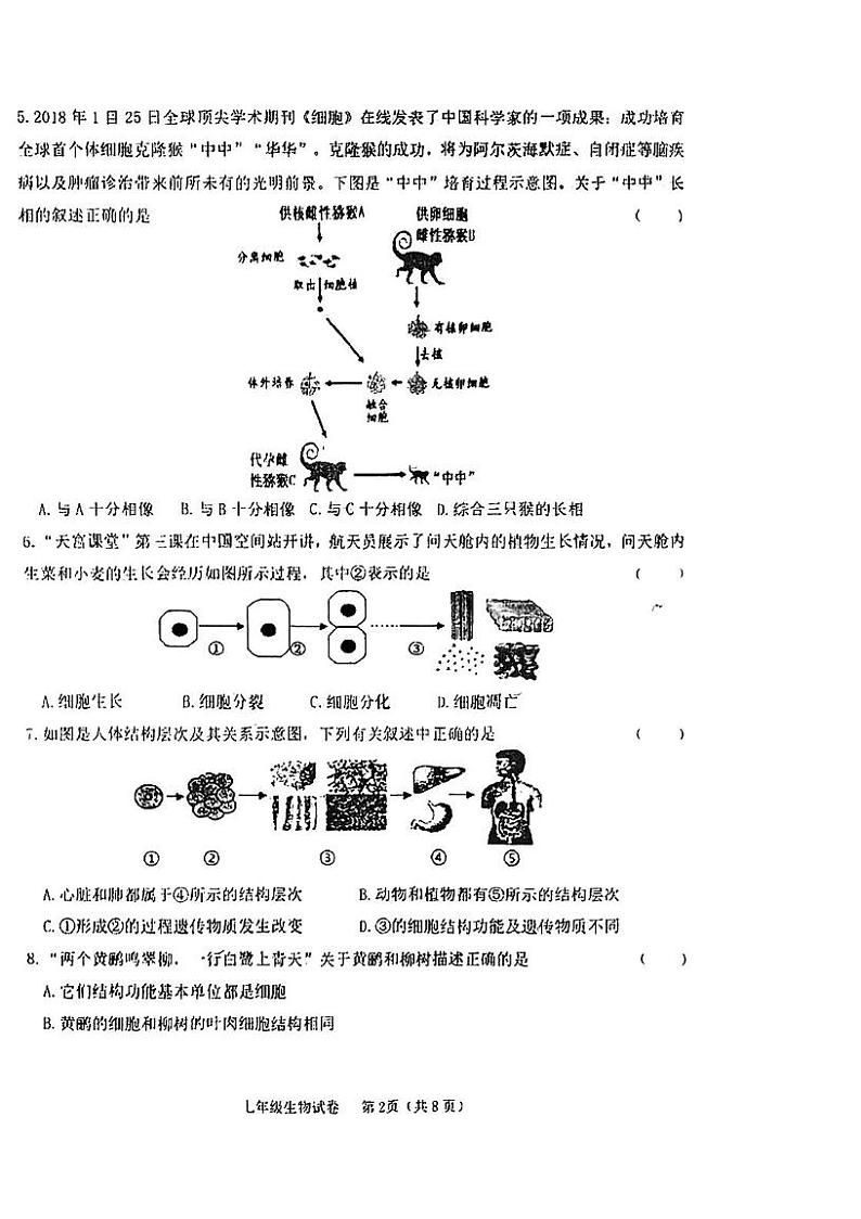 天津市建华中学2024-2025学年七年级上学期期末生物试卷第2页