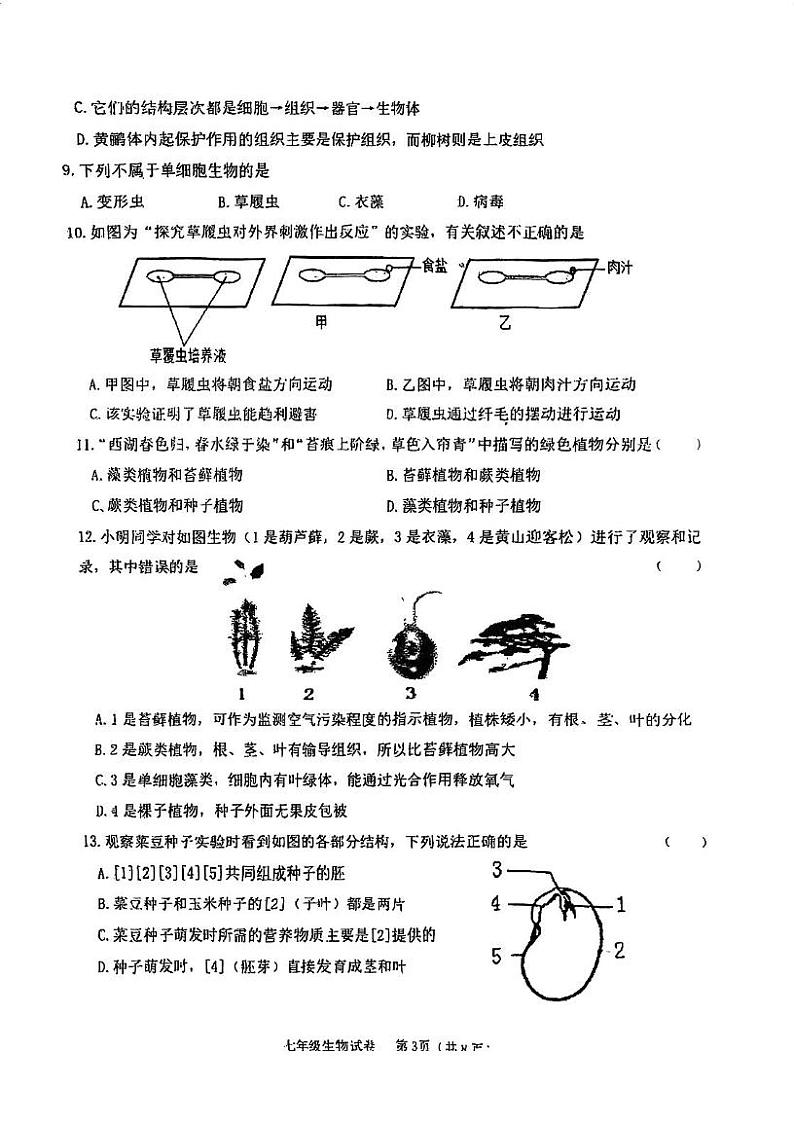 天津市建华中学2024-2025学年七年级上学期期末生物试卷第3页