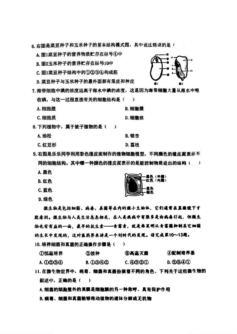 黑龙江省哈尔滨市松北区2024-2025学年七年级上学期期末调研生物试卷第2页