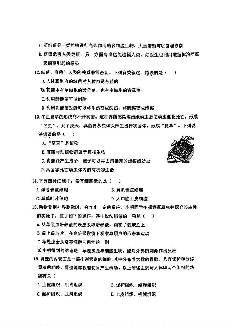黑龙江省哈尔滨市松北区2024-2025学年七年级上学期期末调研生物试卷第3页