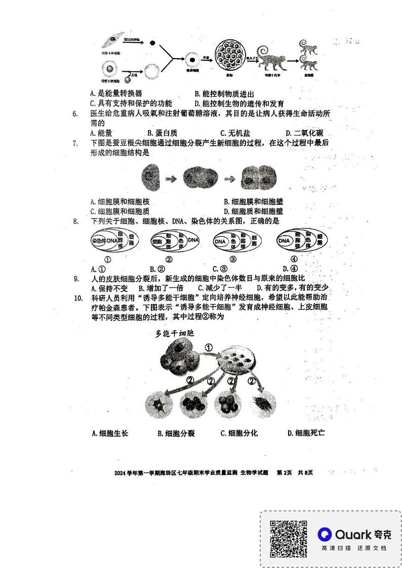 广东省广州市海珠区2024-2025学年七年级上学期期末质量检测生物试题第2页