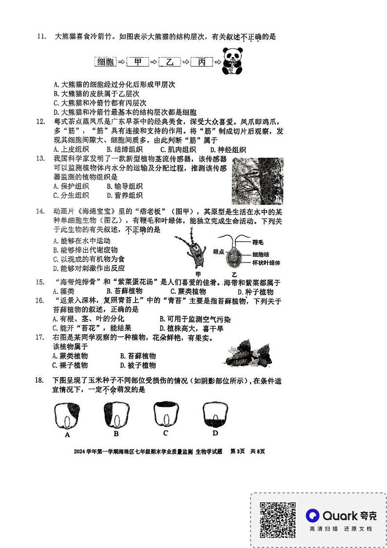 广东省广州市海珠区2024-2025学年七年级上学期期末质量检测生物试题第3页