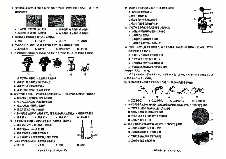 北京市朝阳区2024-2025学年七年级上学期期末检测生物试题第2页