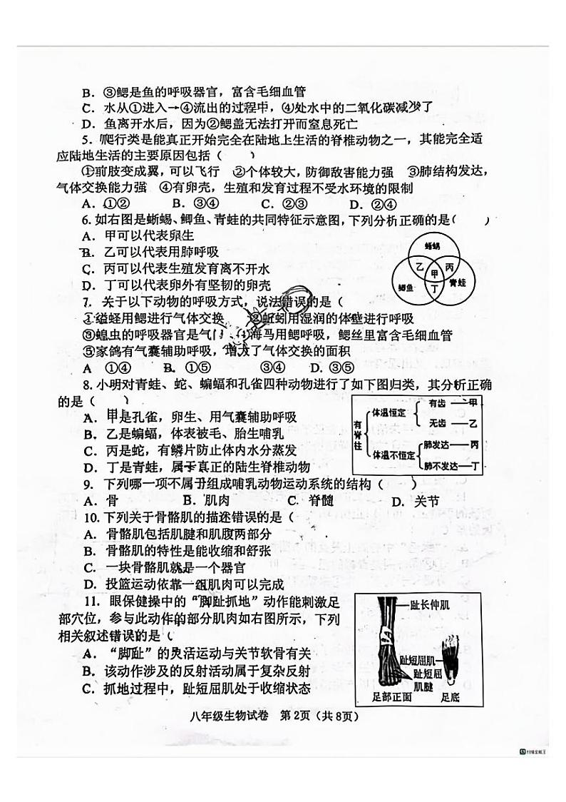 郑州中原区外国语2023-2024学年八年级上学期期末生物试卷及答案第2页