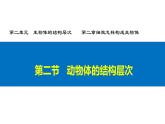 初中  生物  人教版（2024）  七年级上册（2024）  第二节 动物体的结构层次 课件