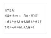 初中  生物  人教版（2024）  七年级上册（2024）  第二节 动物体的结构层次 课件
