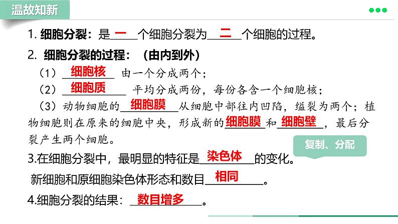 初中  生物  人教版（2024）  七年级上册（2024）  第二节 动物体的结构层次 课件第2页