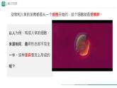 初中  生物  人教版（2024）  七年级上册（2024）  第二节 动物体的结构层次 课件