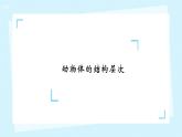 初中  生物  人教版（2024）  七年级上册（2024）  第二节 动物体的结构层次 课件