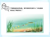 初中  生物  人教版（2024）  七年级上册（2024）  第二节 动物体的结构层次 课件