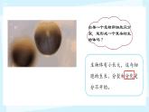 初中  生物  人教版（2024）  七年级上册（2024）  第二节 动物体的结构层次 课件