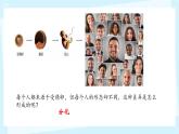 初中  生物  人教版（2024）  七年级上册（2024）  第二节 动物体的结构层次 课件