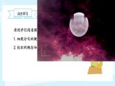 初中  生物  人教版（2024）  七年级上册（2024）  第二节 动物体的结构层次 课件