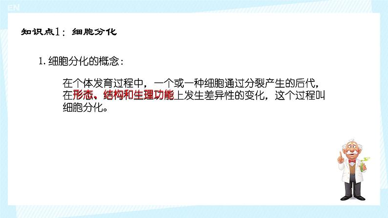 初中  生物  人教版（2024）  七年级上册（2024）  第二节 动物体的结构层次 课件第6页