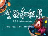 初中  生物  人教版（2024）  七年级上册（2024）  第二节 动物体的结构层次 课件