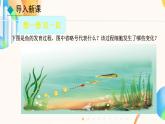 初中  生物  人教版（2024）  七年级上册（2024）  第二节 动物体的结构层次 课件