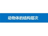 初中  生物  人教版（2024）  七年级上册（2024）  第二节 动物体的结构层次 课件