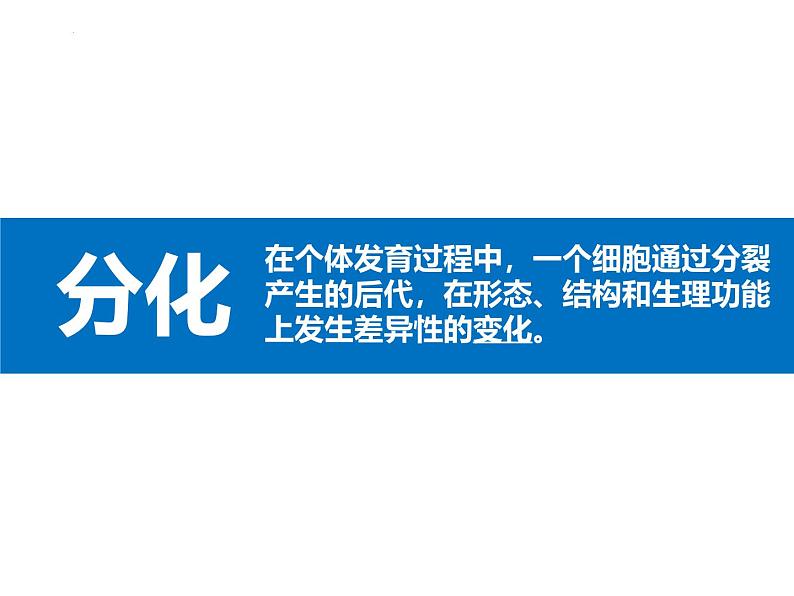 初中  生物  人教版（2024）  七年级上册（2024）  第二节 动物体的结构层次 课件第4页