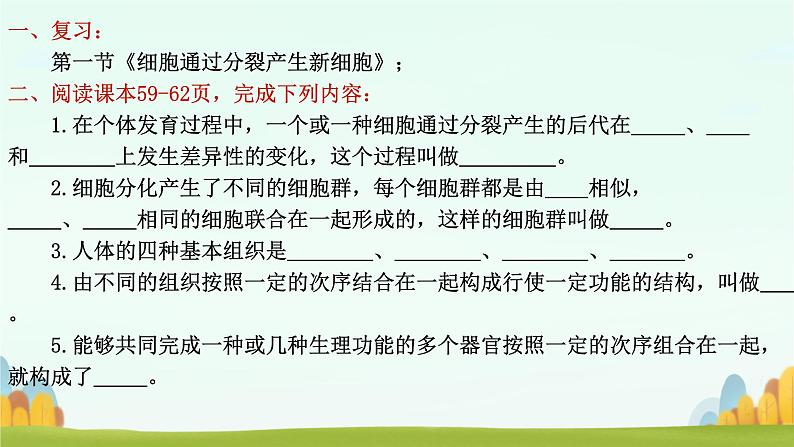 初中  生物  人教版（2024）  七年级上册（2024）  第二节 动物体的结构层次 课件第1页