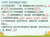 初中  生物  人教版（2024）  七年级上册（2024）  第二节 动物体的结构层次 课件