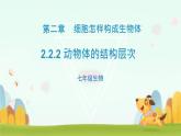 初中  生物  人教版（2024）  七年级上册（2024）  第二节 动物体的结构层次 课件
