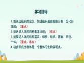 初中  生物  人教版（2024）  七年级上册（2024）  第二节 动物体的结构层次 课件