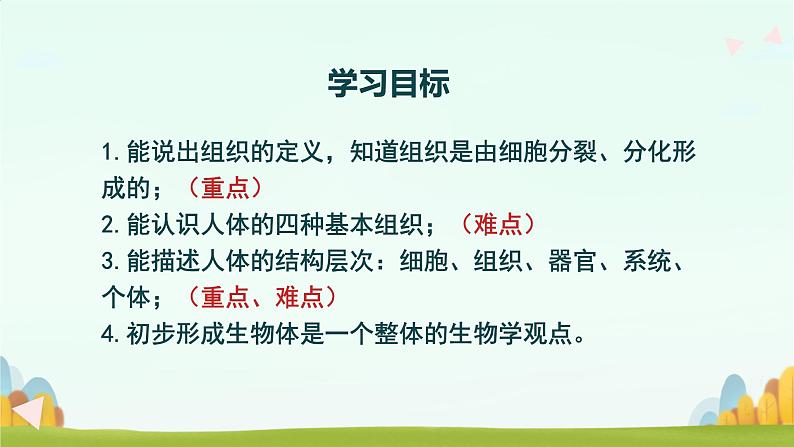 初中  生物  人教版（2024）  七年级上册（2024）  第二节 动物体的结构层次 课件第5页