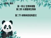 初中  生物  人教版（2024）  七年級上冊（2024）  第二節(jié) 動物體的結構層次 課件