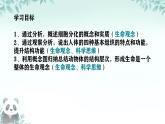 初中  生物  人教版（2024）  七年級上冊（2024）  第二節(jié) 動物體的結構層次 課件