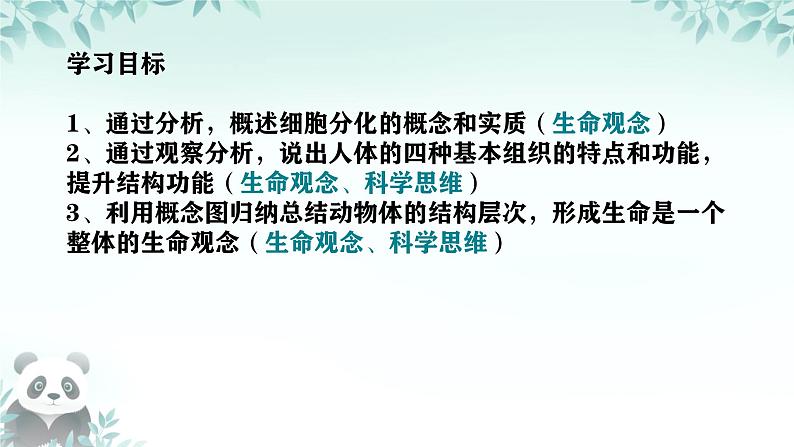 初中  生物  人教版（2024）  七年级上册（2024）  第二节 动物体的结构层次 课件第2页